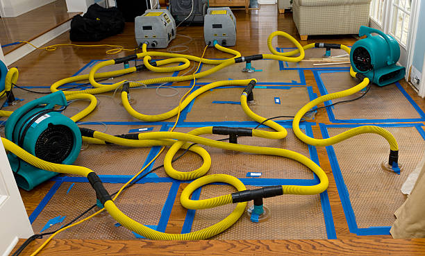 Professional Burst Pipe Water Damage technician working in Gainesville, TX